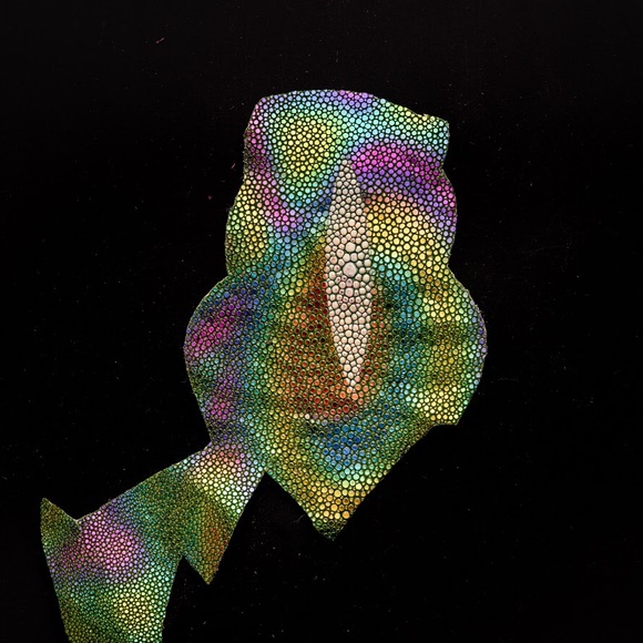 Meet your Posher, Grandad Sam - Picture 15 of 16